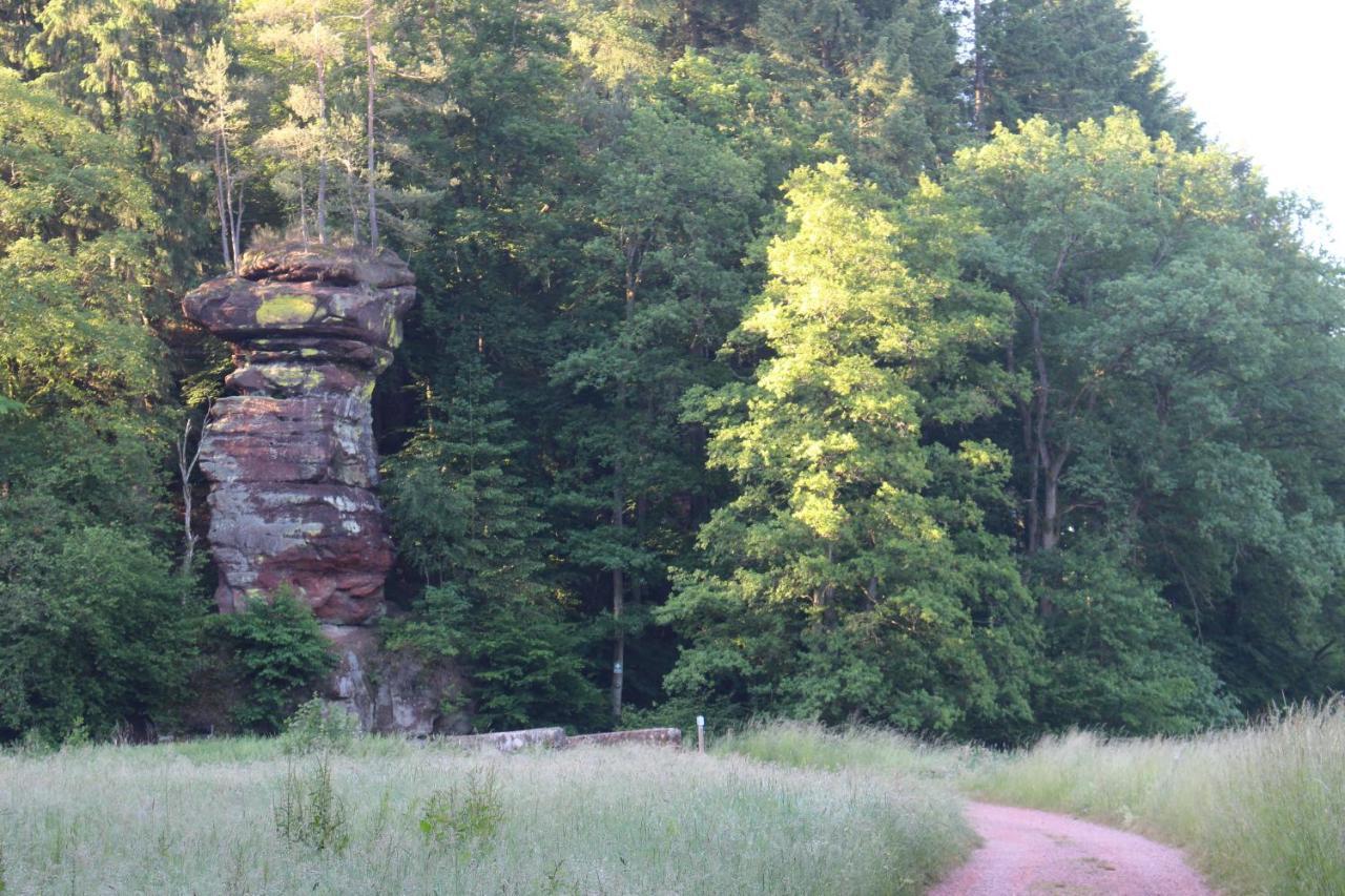 Gaestehaus Herrenmuehle Freudenburg  Kültér fotó